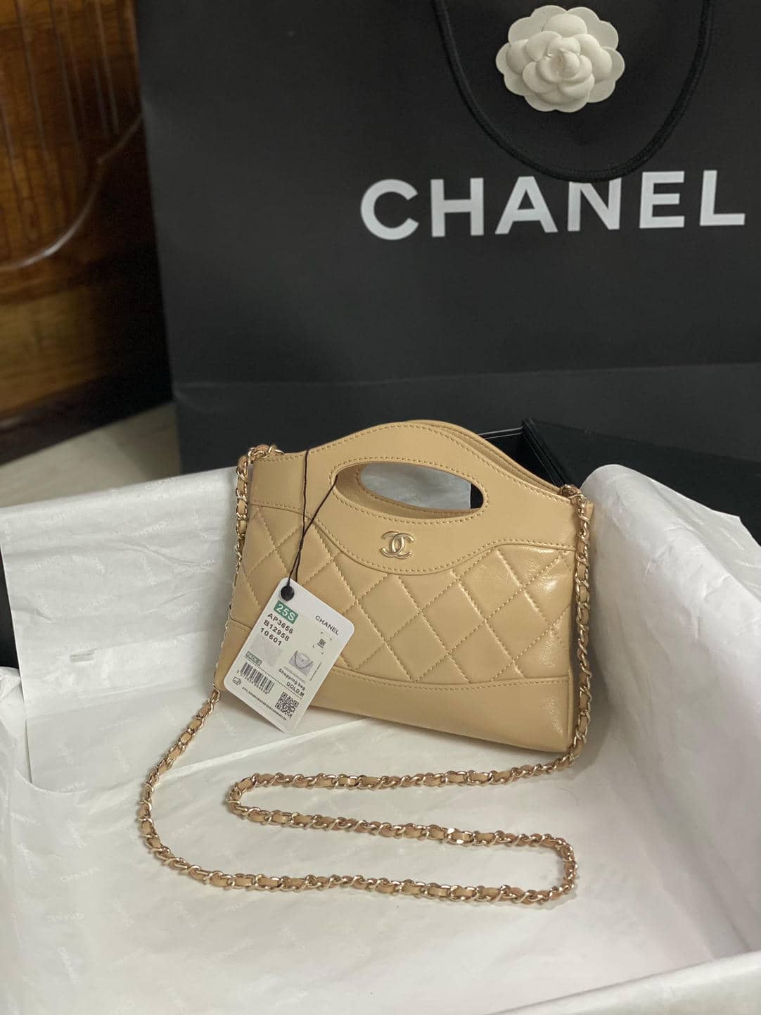 0043656-31bag nano